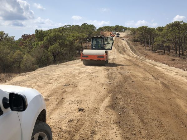 Cost of Driveway Grading in Yakima