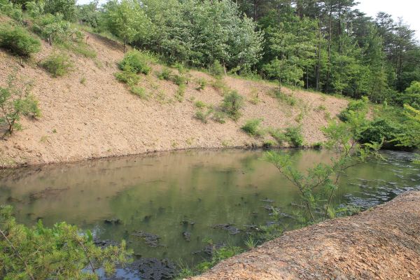 Cost of Pond Erosion Repair in Yakima
