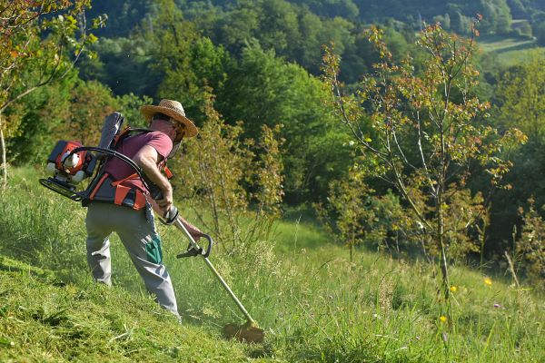 Cost of Slope Trimming in Yakima