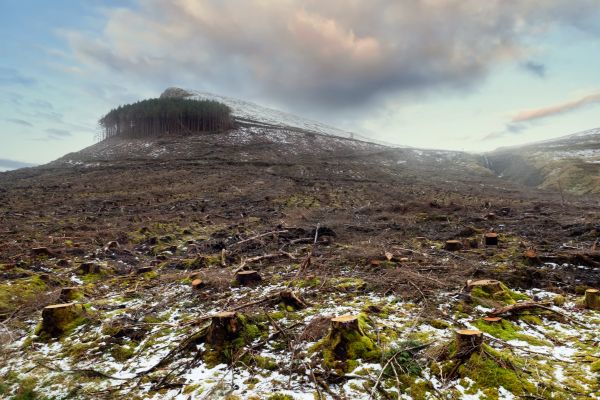 Cost of Hill Removal in Yakima